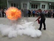 IMG_1372