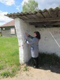 IMG_0612
