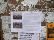 DSCN2493