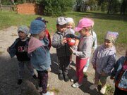 IMG_5009